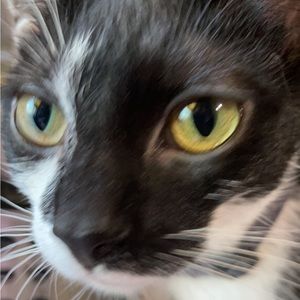 Meet your Posher, Jade